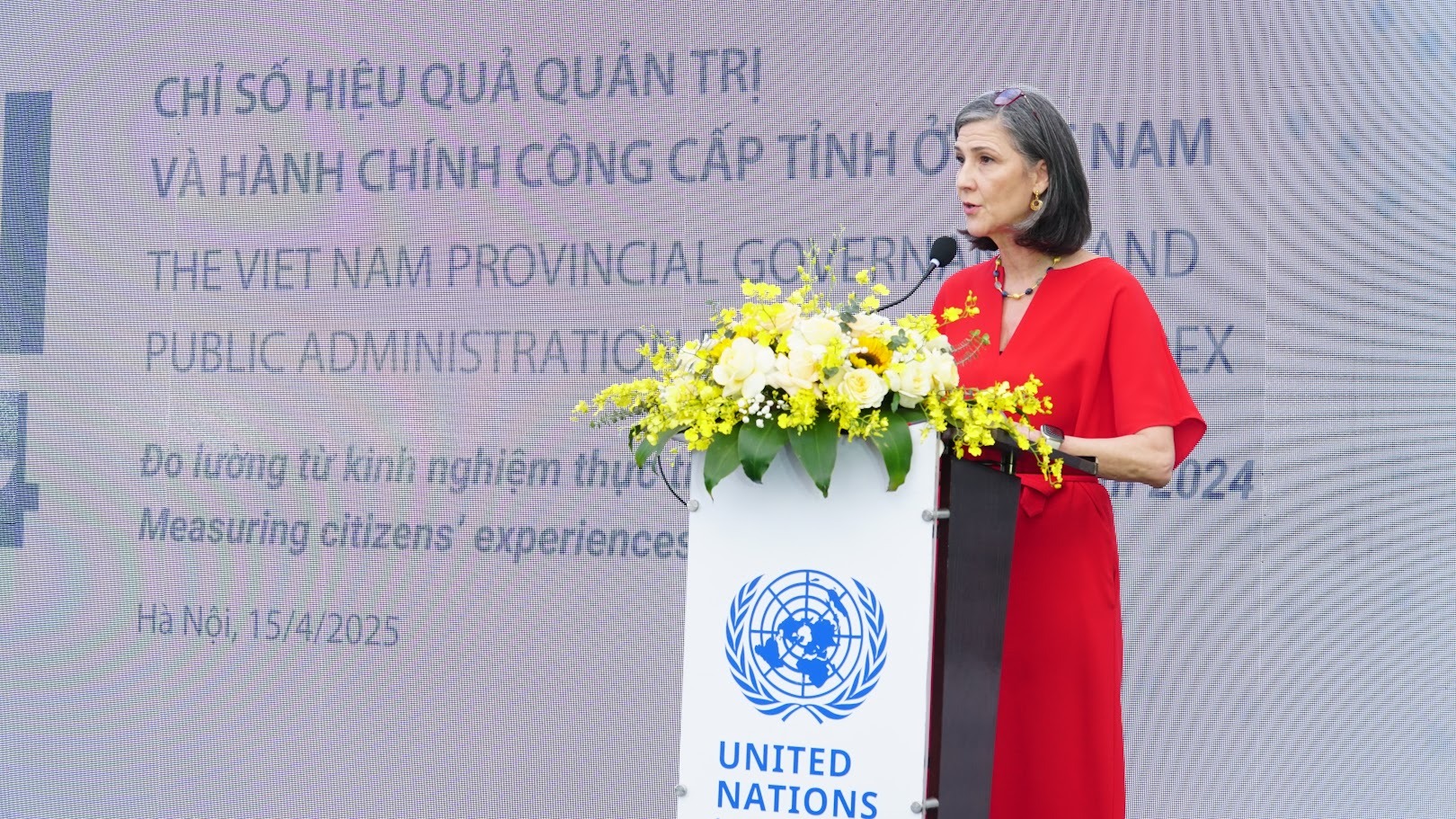 Bà Ramla Khalidi, Đại diện Thường trú UNDP tại Việt Nam