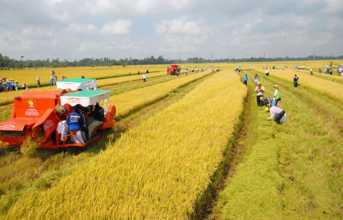 Đề xuất kéo dài thời gian miễn thuế sử dụng đất nông nghiệp như quy định hiện hành đến hết ngày 31/12/2030. Ảnh minh họa.