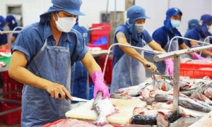 Thời điểm để các doanh nghiệp xuất khẩu thuỷ sản tái cấu trúc thị trường