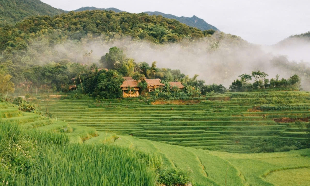 Mục tiêu phát triển du lịch sinh thái đi đôi với bảo tồn, các công trình phục vụ du lịch tại Thanh Hoá được xây dựng theo hướng thân thiện với môi trường