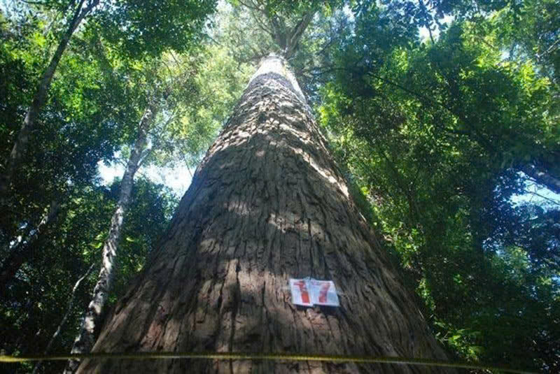 C&aacute;c khu bảo tồn thi&ecirc;n nhi&ecirc;n quan trọng như P&ugrave; Lu&ocirc;ng, Xu&acirc;n Li&ecirc;n v&agrave; Bến En, tỉnh Thanh Ho&aacute; đang lưu giữ một kho t&agrave;ng sinh học phong ph&uacute; gồm h&agrave;ng ngh&igrave;n lo&agrave;i động thực vật qu&yacute; hiếm