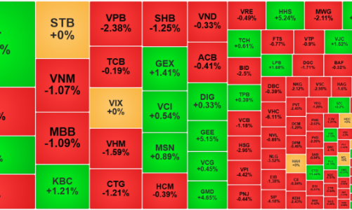 Xuất hiện cầu bắt đáy quanh mốc 1200 điểm