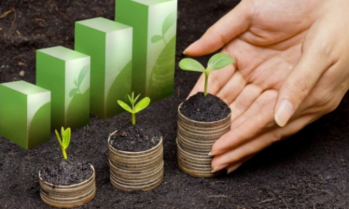 Tài trợ 4,7 triệu USD tài chính khí hậu cho 17 quan hệ đối tác khởi nghiệp sáng tạo