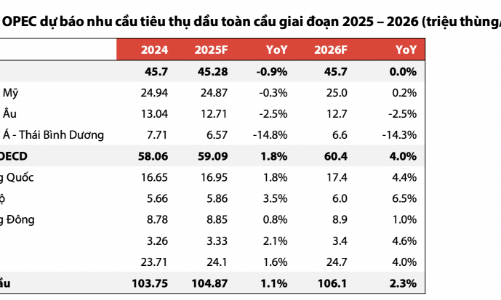 Bất chấp triển vọng giá dầu xấu đi năm 2025, các doanh nghiệp dầu khí trong nước vẫn có lãi 