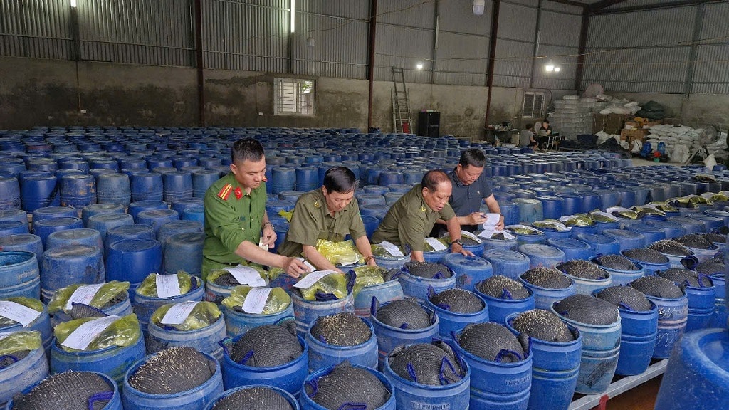 Cơ quan chức năng tiến hành niêm phong tang vật – các thùng chứa giá đỗ ngâm hóa chất. Ảnh - Công an Nghệ An