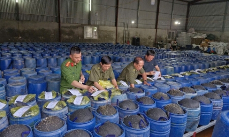 Cơ quan chức năng tiến hành niêm phong tang vật – các thùng chứa giá đỗ ngâm hóa chất. Ảnh - Công an Nghệ An