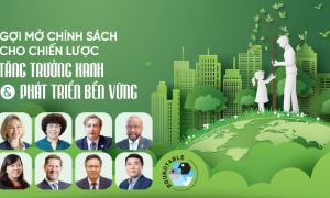 Gợi mở chính sách cho chiến lược tăng trưởng xanh và phát triển bền vững