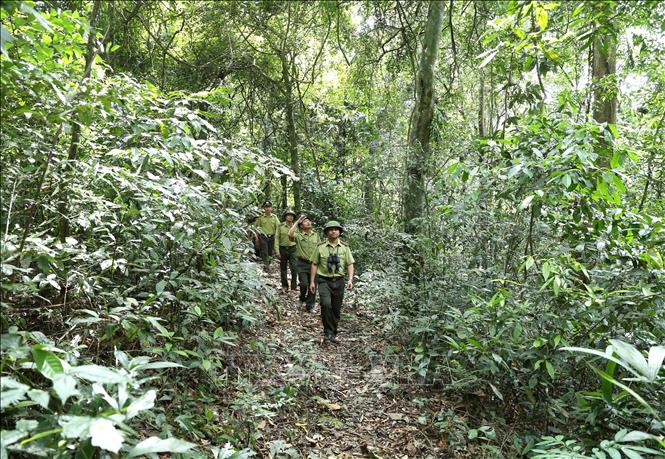 H&agrave; Tĩnh phấn đấu tới năm 2030 c&oacute; khoảng 37.000 ha rừng được cấp chứng chỉ quản l&yacute; rừng bền vững