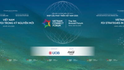 Diễn đàn Nhịp cầu Phát triển Việt Nam 2025