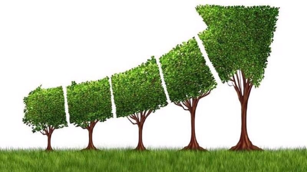 Bước chuyển mình trong dòng chảy phát triển xanh toàn cầu