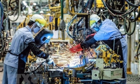 Hàn Quốc áp dụng thị thực hạng nhất (Top-Tier) để thu hút nhân tài nước ngoài