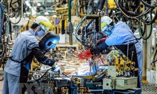 Hàn Quốc áp dụng thị thực hạng nhất (Top-Tier) để thu hút nhân tài nước ngoài 