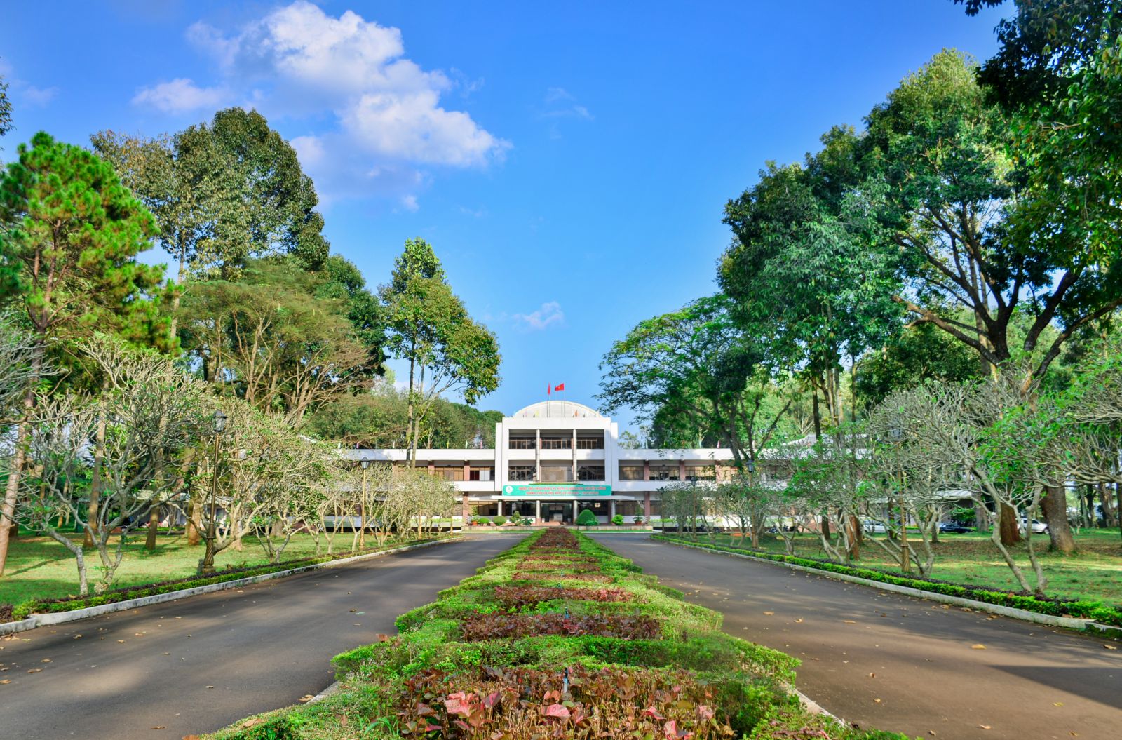 Công ty TNHH Một Thành Viên Tổng Công ty Cao su Đồng Nai