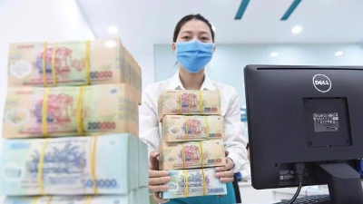 A key role of monetary and fiscal policies