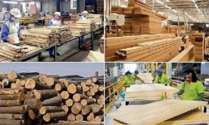 Thị trường nội địa là “phao cứu sinh” nhưng không phải lời giải bài toán thuế quan của ngành gỗ