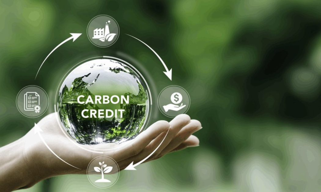 Các tổ chức tín dụng vẫn đang e dè nhận tín chỉ carbon làm tài sản bảo đảm