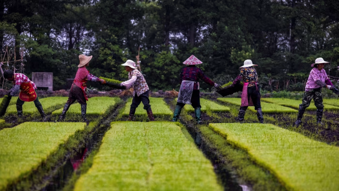 Ảnh minh họa: Getty Images