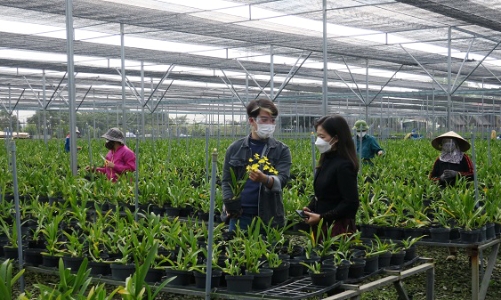 Hải Phòng phê duyệt danh mục dự án nông nghiệp trọng điểm giai đoạn 2026 – 2030