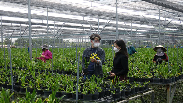 Hải Phòng dự kiến sẽ mở rộng chính sách hỗ trợ phát triển nông nghiệp, thuỷ sản hàng hoá.