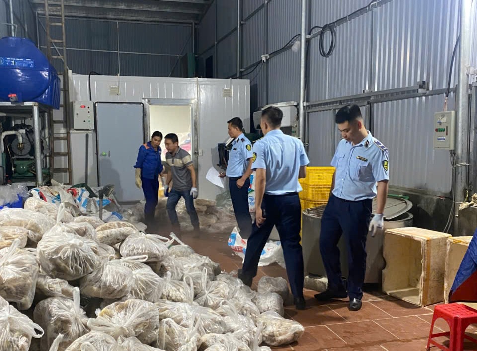 Phát hiện gần 11 tấn thịt bò và nội tạng bò vi phạm an toàn vệ sinh thực phẩm.