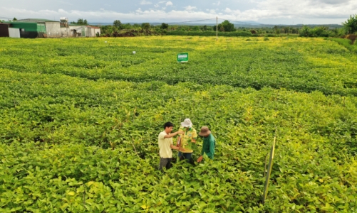 Vinasoy được vinh danh “Doanh nghiệp tiên phong trong quản lý tài nguyên bền vững”