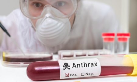 Ảnh: Medical News Today