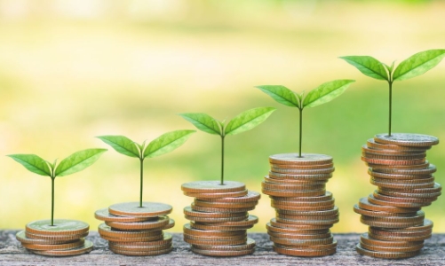 Đầu tư xanh từ khu vực tư nhân ở Việt Nam đạt hơn 160 triệu USD