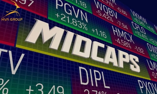 Chứng khoán thường tăng trong tháng 5, cổ phiếu nhóm VnMidcap sẽ hút dòng tiền? 