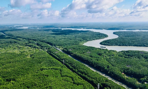 TP.HCM chấp thuận để Vingroup nghiên cứu, lập hồ sơ tuyến metro nối trung tâm với Cần Giờ