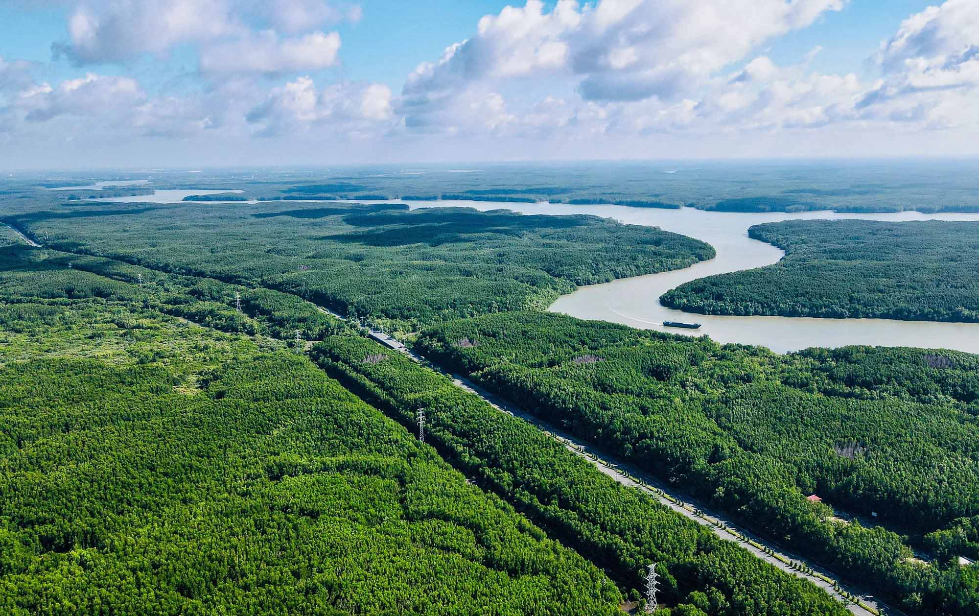 Rừng Sác, Cần Giờ nhìn từ trên cao - Ảnh minh họa.