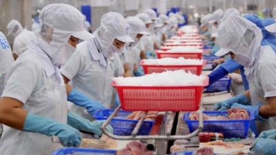 Vietnam ranks among Top 4 seafood suppliers to Singapore