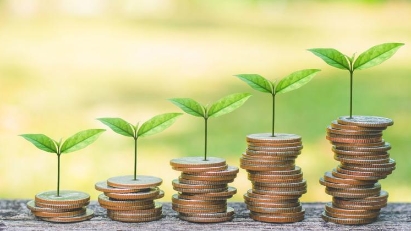 Vietnam's private green investment in 2024 reaches $160 million,