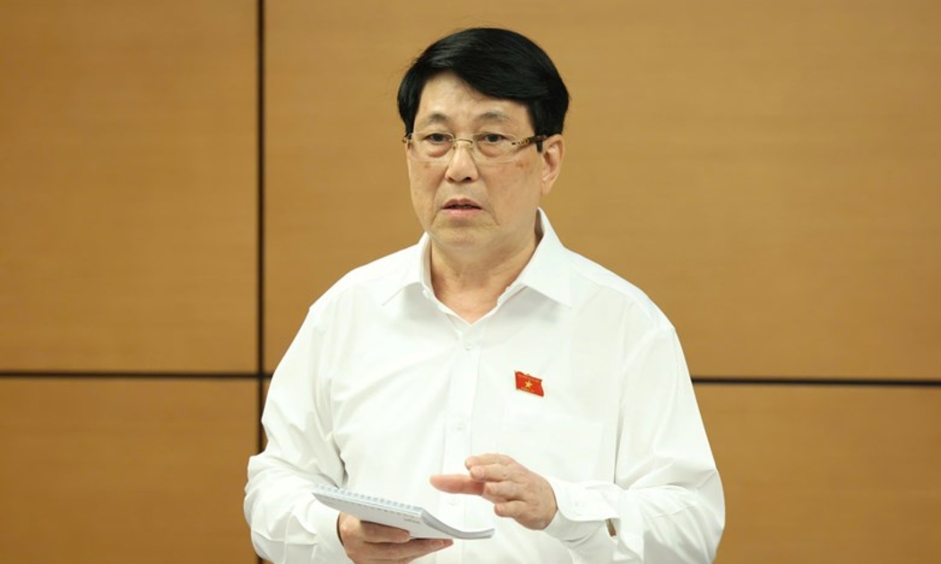 Chủ tịch nước Lương Cường phát biểu ý kiến tại phiên thảo luận.