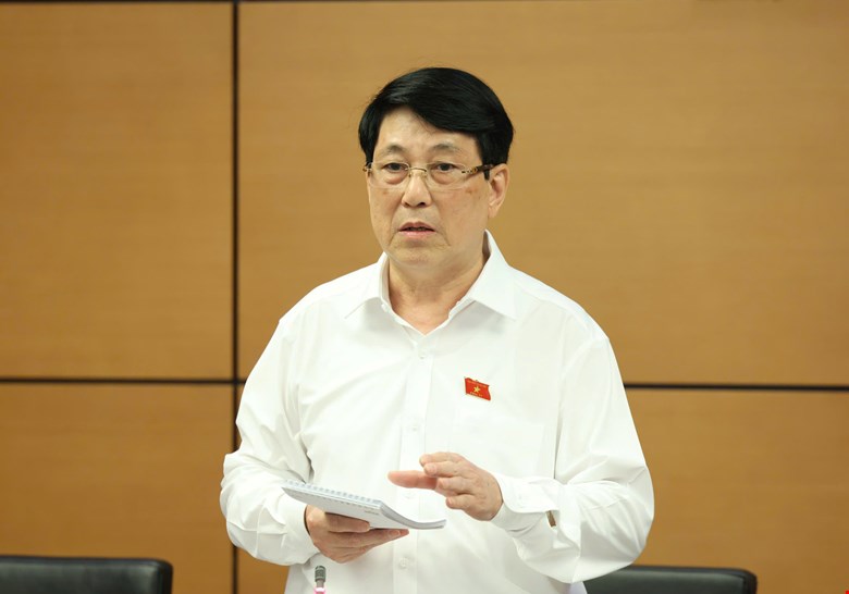 Chủ tịch nước Lương Cường phát biểu ý kiến tại phiên thảo luận.