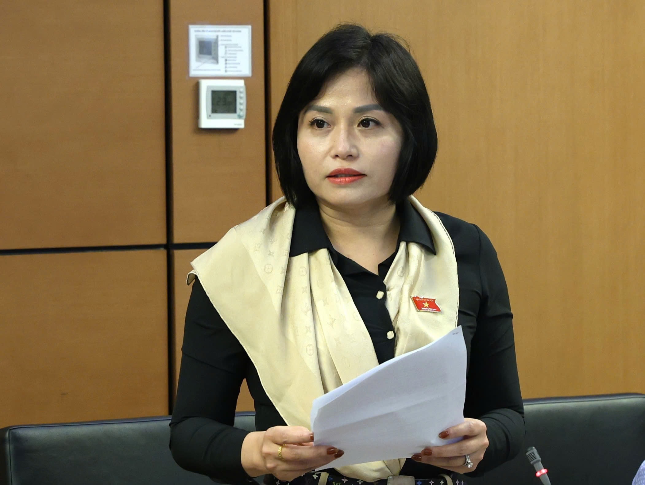 Đại biểu Th&aacute;i Quỳnh Mai Dung, đo&agrave;n Vĩnh Ph&uacute;c.
