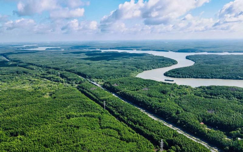 Vingroup permitted to study a metro line linking HCMC downtown with Can Gio outlying district