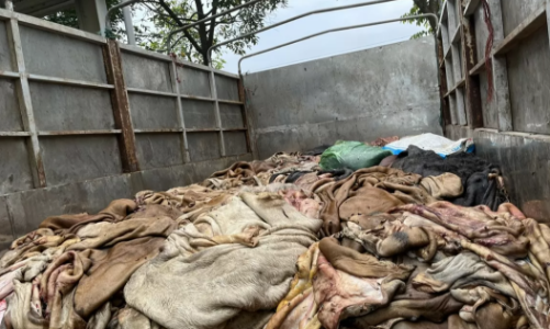 Phát hiện gần 5 tấn thực phẩm bẩn