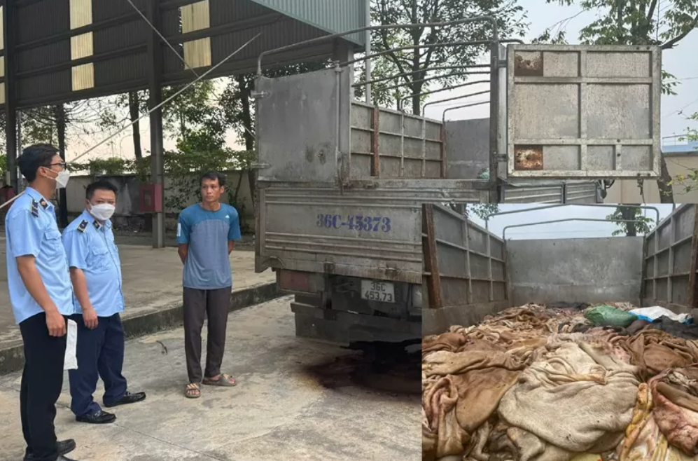 Lực lượng chức năng Thanh Ho&aacute; xử phạt h&agrave;nh ch&iacute;nh đối với chủ h&agrave;ng