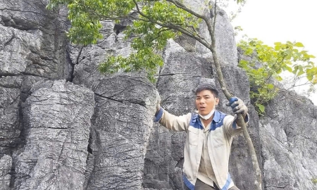 Nghề săn muội hồng là một hành trình đầy mạo hiểm và gian nan