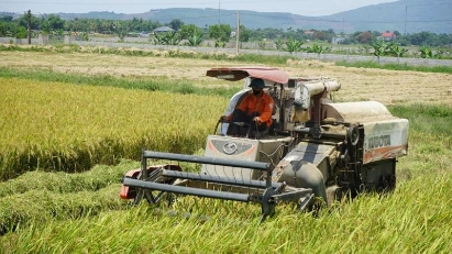 PM asks to maintain stability in production, sale, and export of agricultural, forestry, and aquatic products