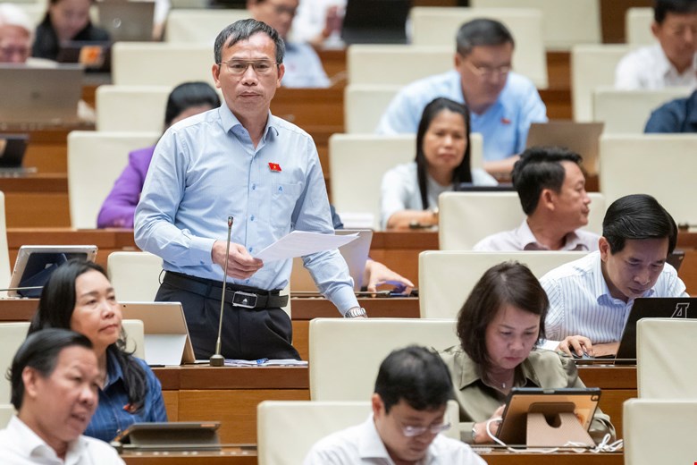 Đại biểu Đồng Ngọc Ba, đo&agrave;n B&igrave;nh Định, ph&aacute;t biểu &yacute; kiến