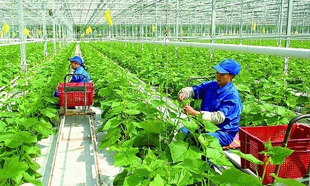 Nghiên cứu, thử nghiệm và nhân rộng các mô hình kinh tế xanh