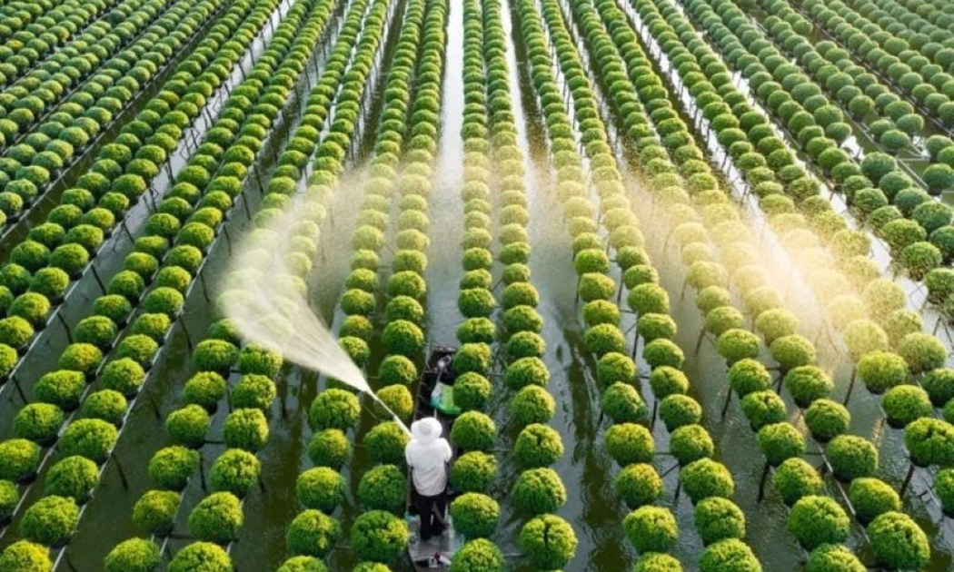Ngành Trồng trọt cần được tháo gỡ những quy định đã lỗi thời.