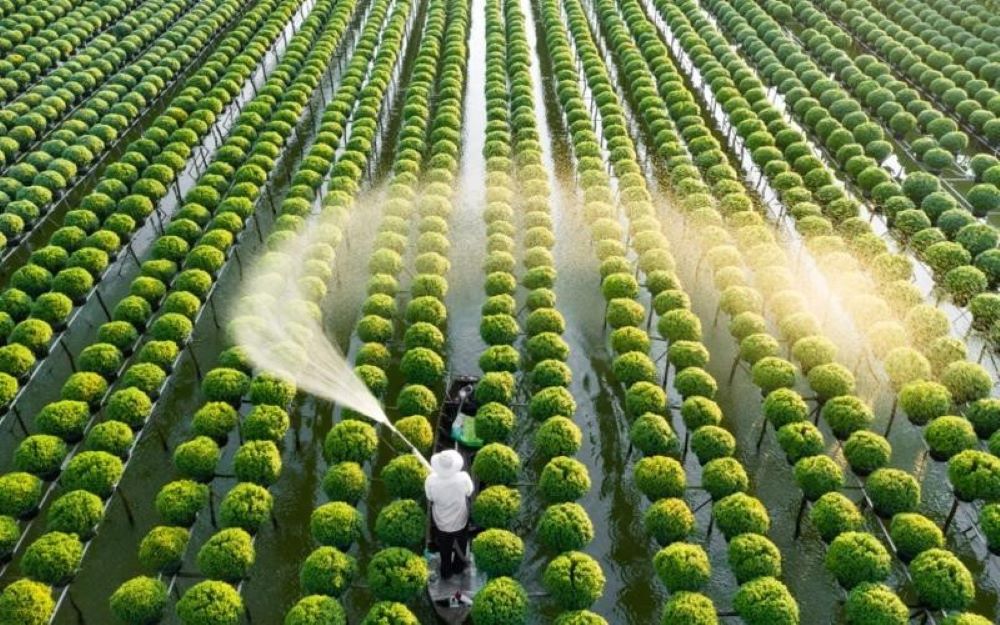 Ngành Trồng trọt cần được tháo gỡ những quy định đã lỗi thời.