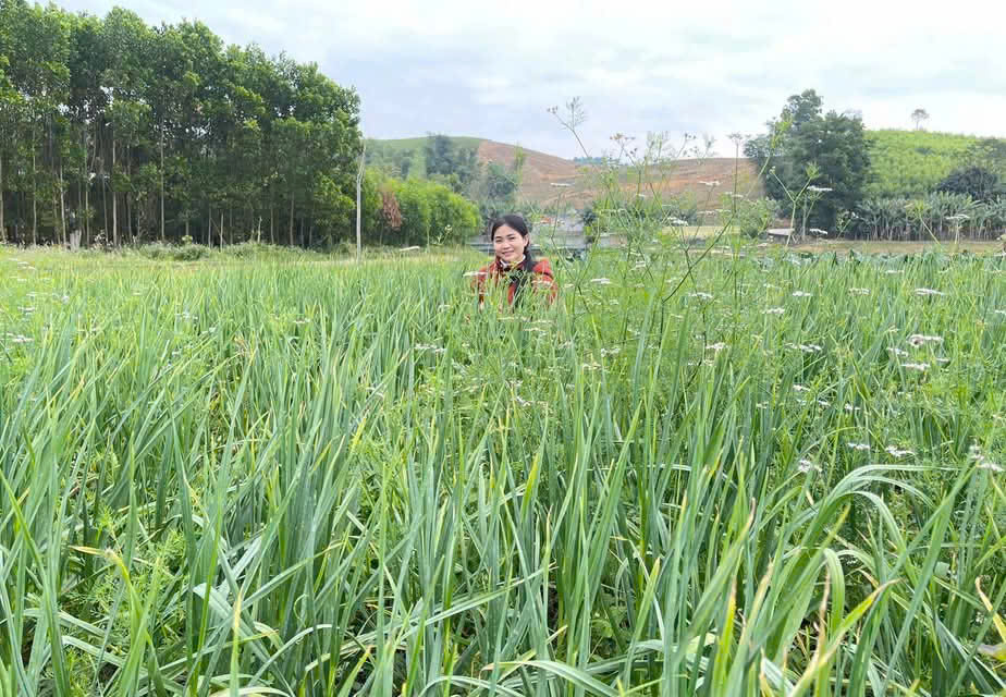 Nguyễn Lê Ngọc Linh tạo ra mô hình nông nghiệp sạch ngay trên quê hương mình