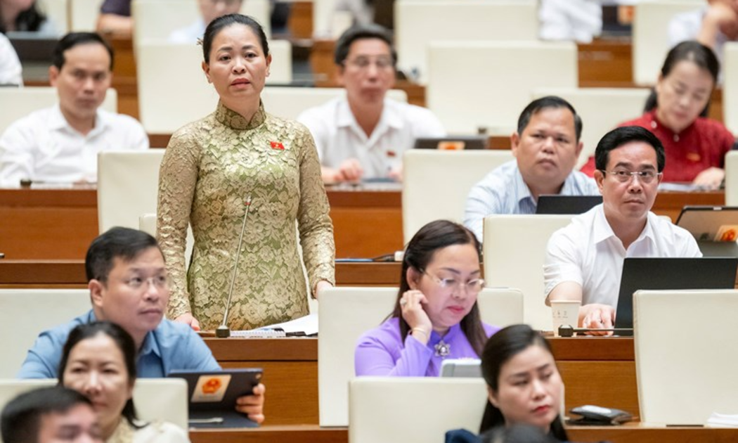 Đại biểu Nguyễn Thị Thu Dung - Ảnh: Quochoi.vn