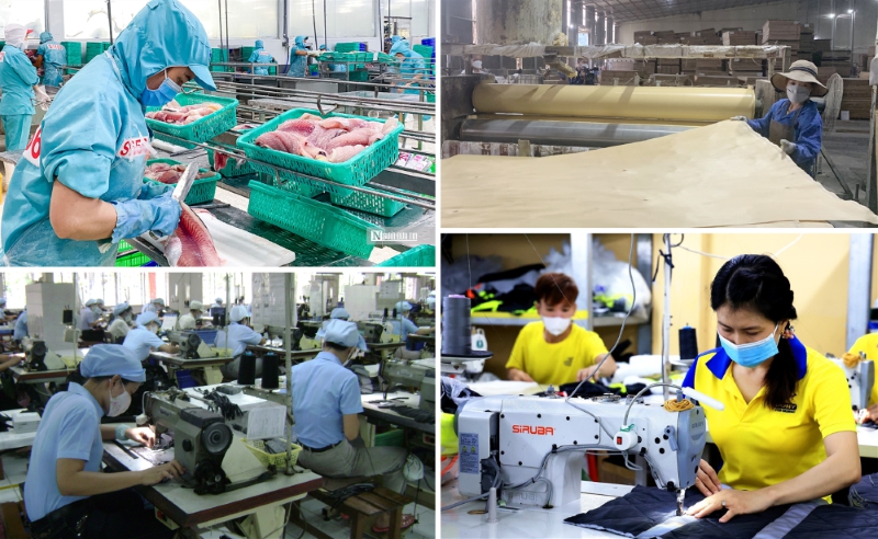 Kinh tế tư nhân hiện đóng góp khoảng 50% GDP, hơn 30% ngân sách nhà nước, sử dụng khoảng 82% tổng số lao động.