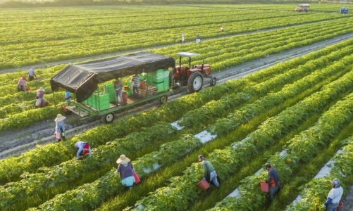 Australia hỗ trợ 2 triệu đô la Úc cho các giải pháp sáng tạo ứng phó với biến đổi khí hậu trong ngành nông nghiệp Việt Nam