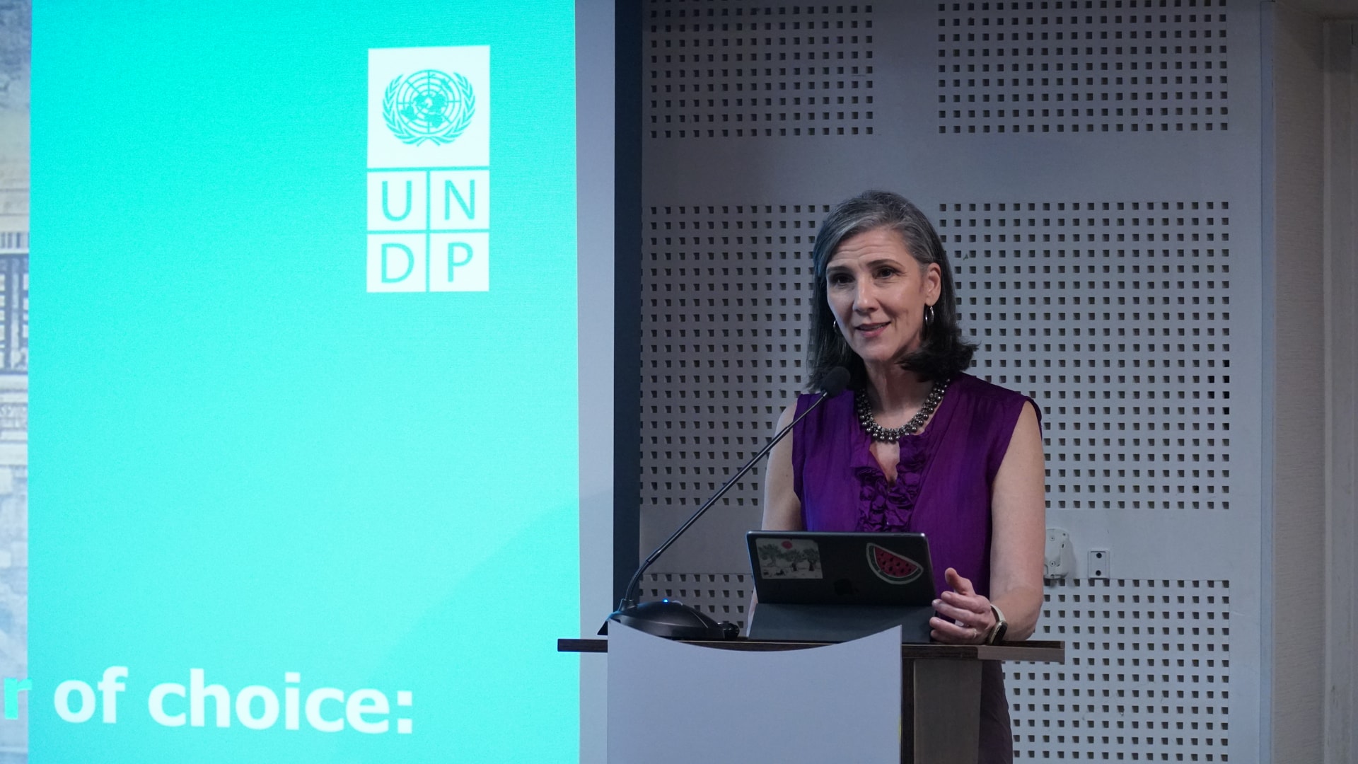 B&agrave; Ramla Khalidi, Trưởng Đại diện thường tr&uacute; Chương tr&igrave;nh Ph&aacute;t triển Li&ecirc;n Hợp Quốc tại Việt Nam