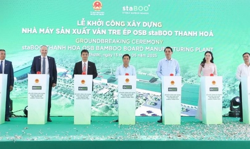 Construction of $114.9m-bamboo processing plant starts in Thanh Hoa